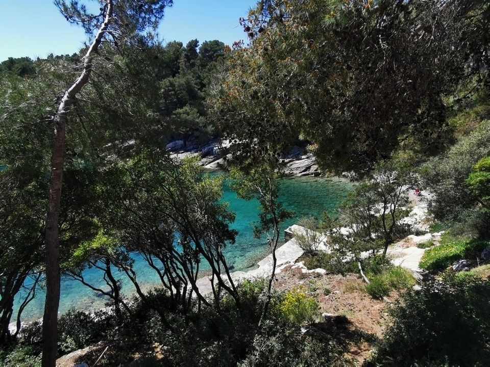 panorama-scouting-H3747-3