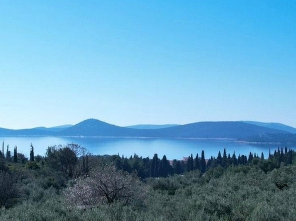 panorama-scouting-H3758-5