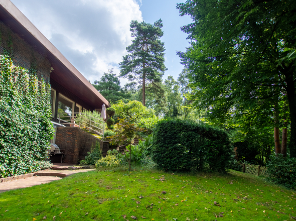 11131 Rückansicht (2)