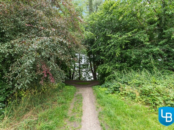 Feldweg zum Schöhsee