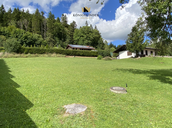 ...nach oben zum Waldrand...