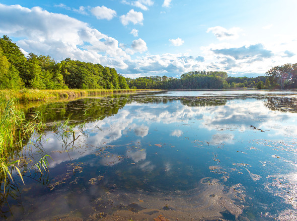 Blick auf den Haussee