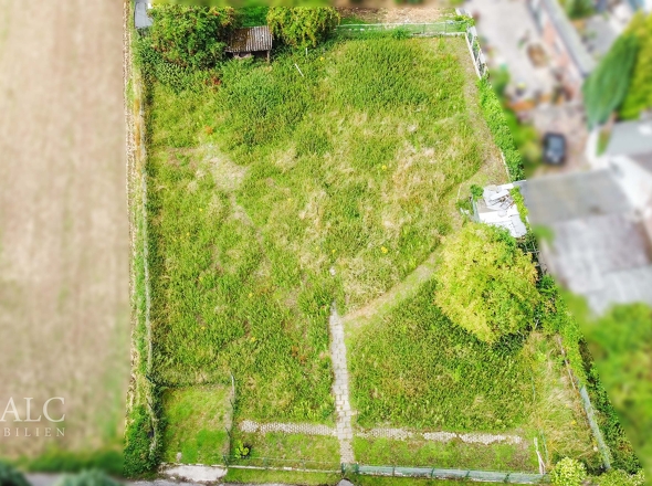 Ansicht von oben (vorne)