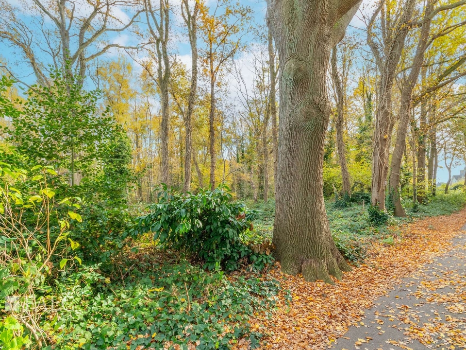 Blick ins Grundstück