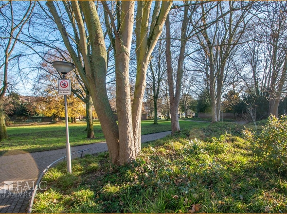 Park hinter dem Haus