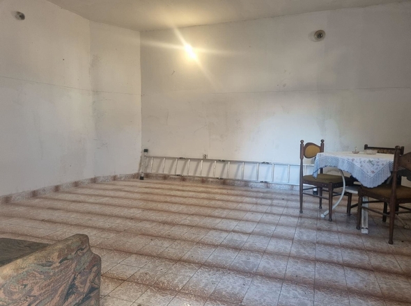 H2411 - Panorama Scouting