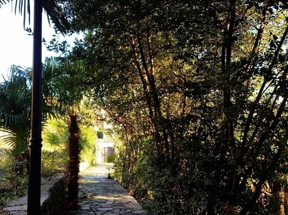 panorama-scouting-H2430_18