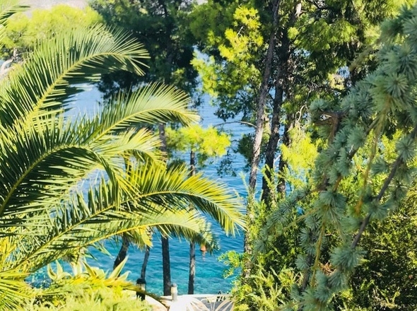 panorama-scouting-H2444-17