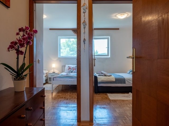 Panorama Scouting - H2448