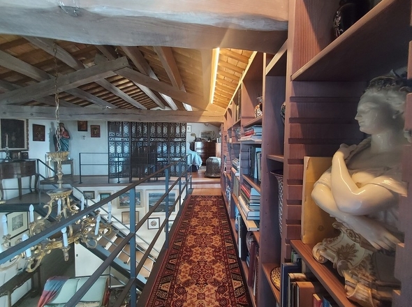 panorama-scouting-H249728