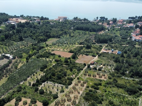 panorama-scouting-G423-2