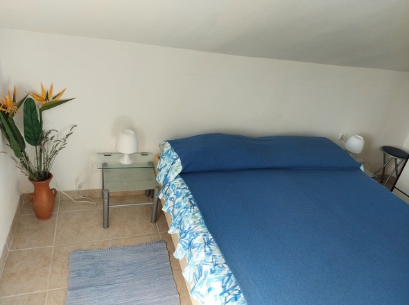 panorama-scouting-H252721