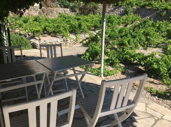 panorama-scouting-H2653-14