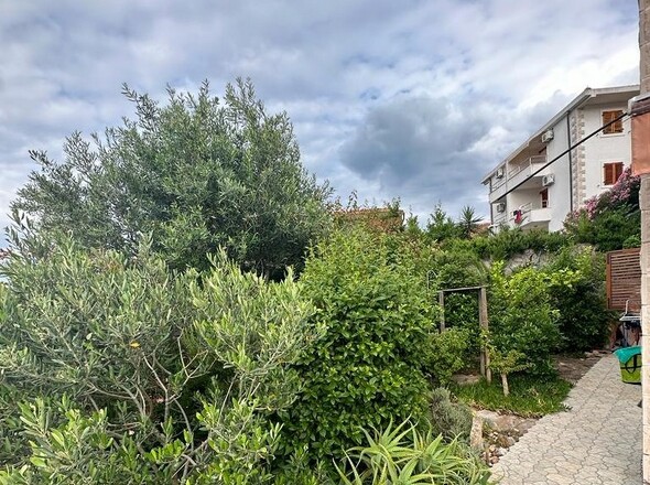 Panorama-Scouting-A2998-11