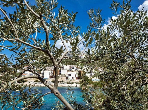 panorama-scouting-H2749-b9