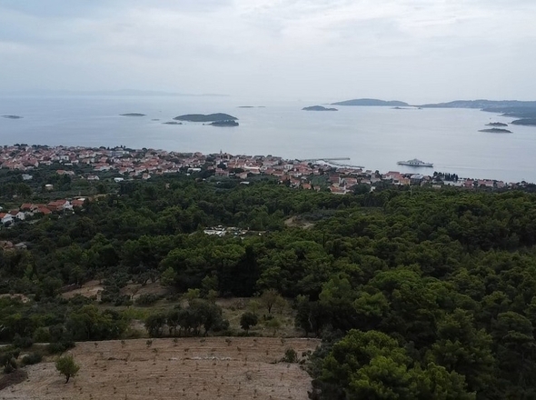 panorama-scouting-G437-7