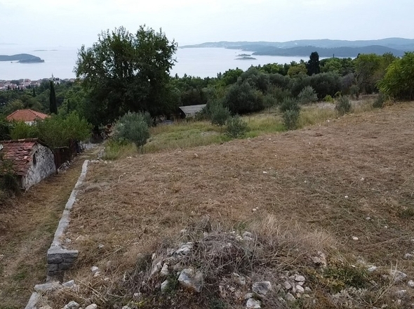 panorama-scouting-G437-8