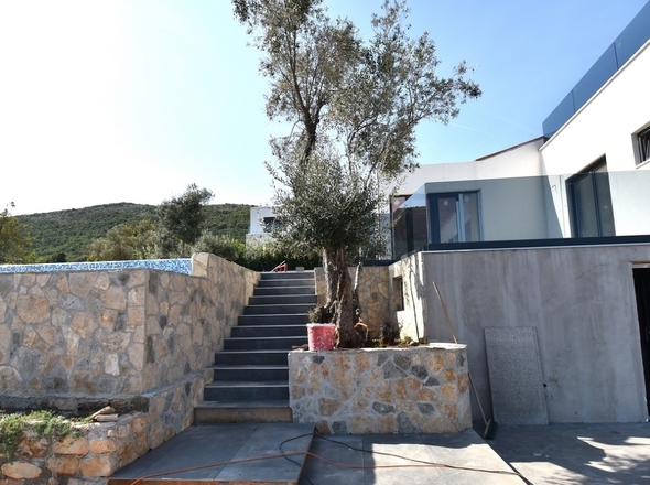 Panorama Scouting - H2794_7