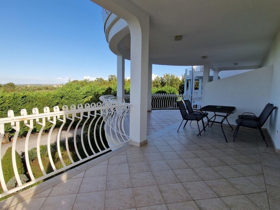 Panorama Scouting - A3114_7