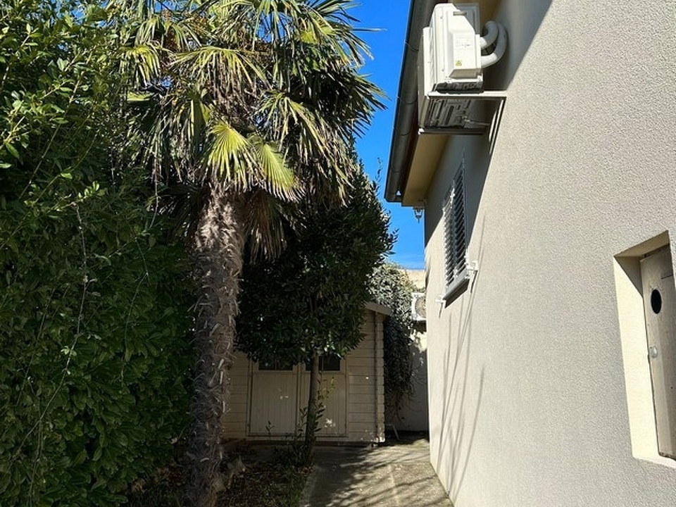 Panorama Scouting - H2822_6