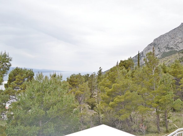 panorama-scouting-H3036-29