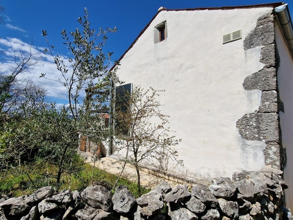 panorama-scouting-H3403-22