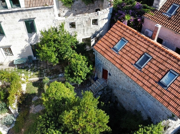 panorama-scouting-H3442-1-2