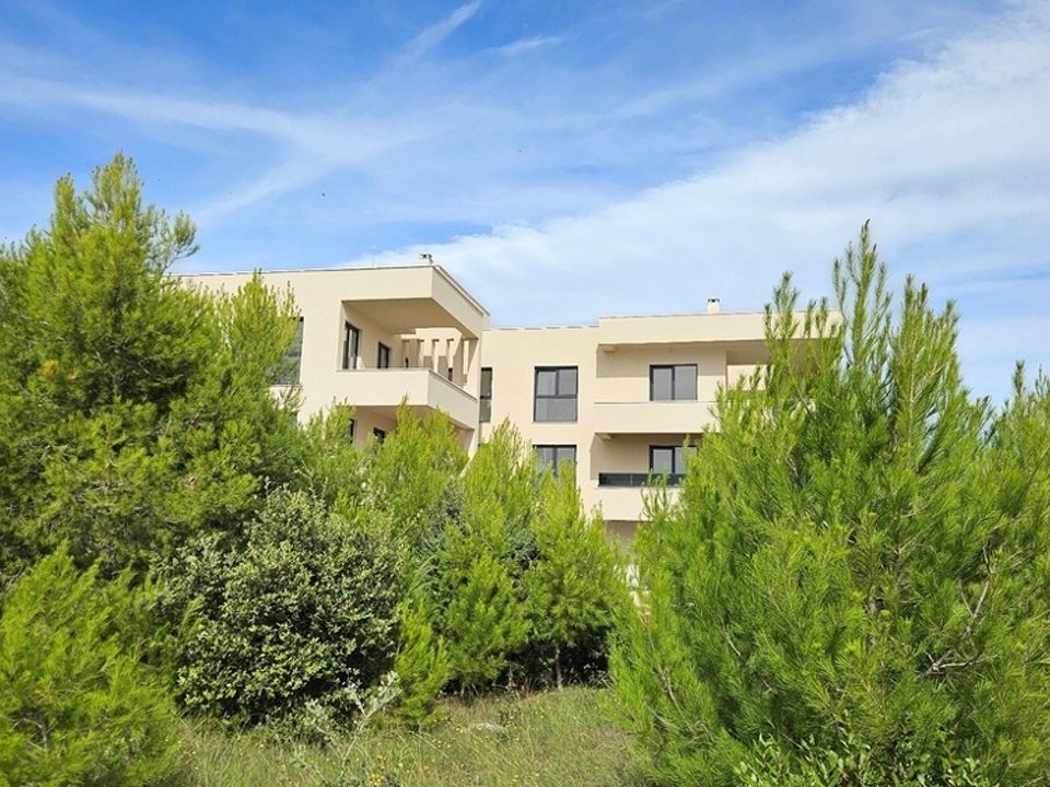 panorama-scouting-A3487_42