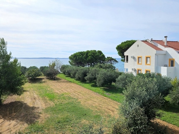 panorama-scouting-A3487_58