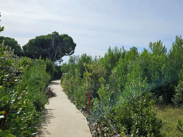 panorama-scouting-A3487_41