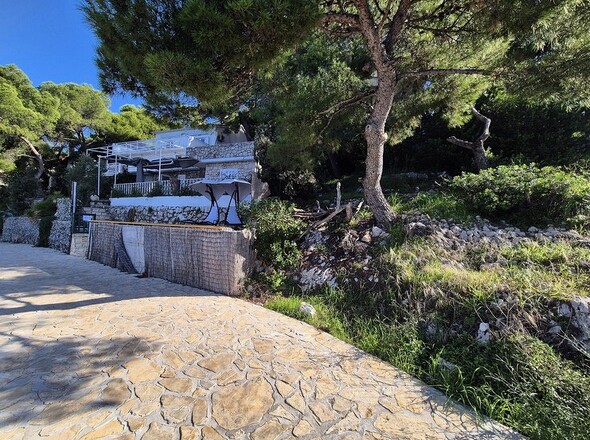 panorama-scouting-H3454-45