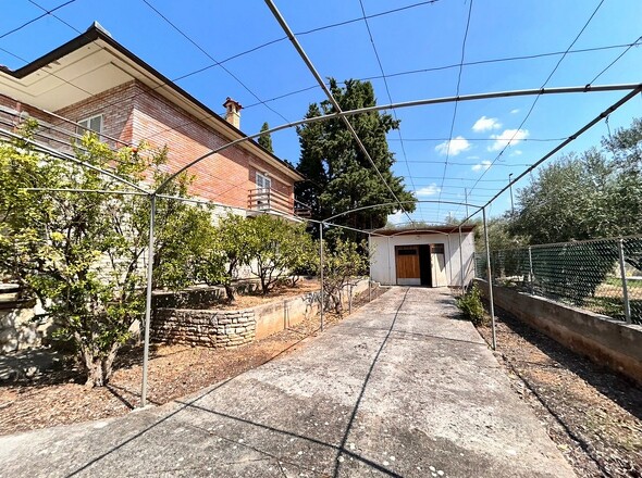 panorama-scouting-H3499-11