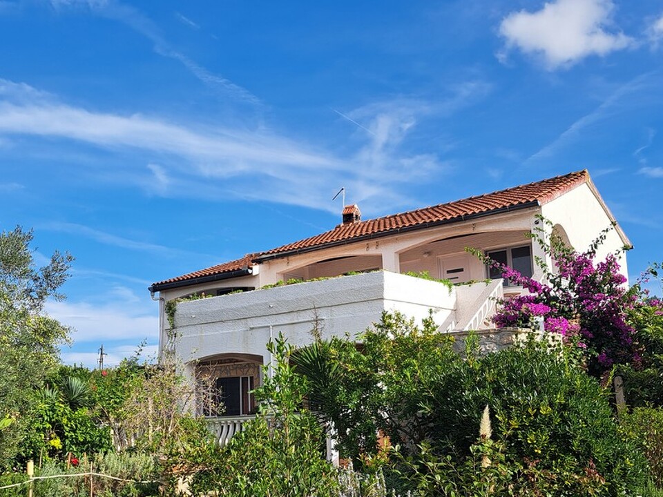 panorama-scouting-H3502-26