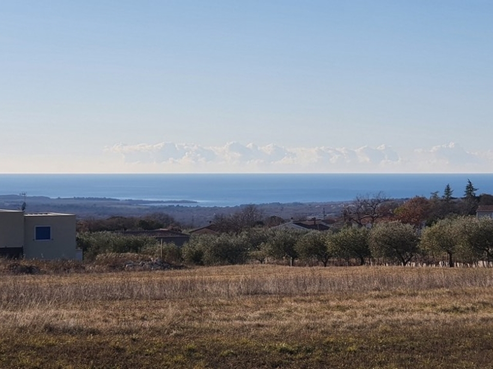 panorama-scouting-G461-3