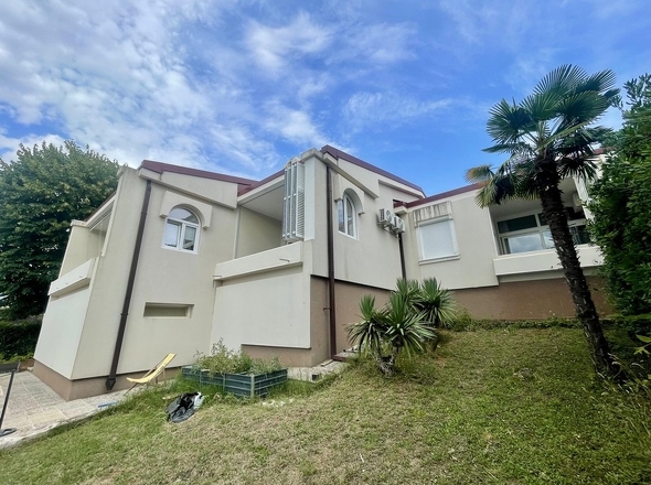 panorama-scouting-H3634-42