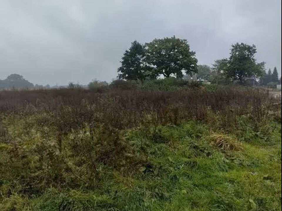 Baugrundstück Grevelau #1