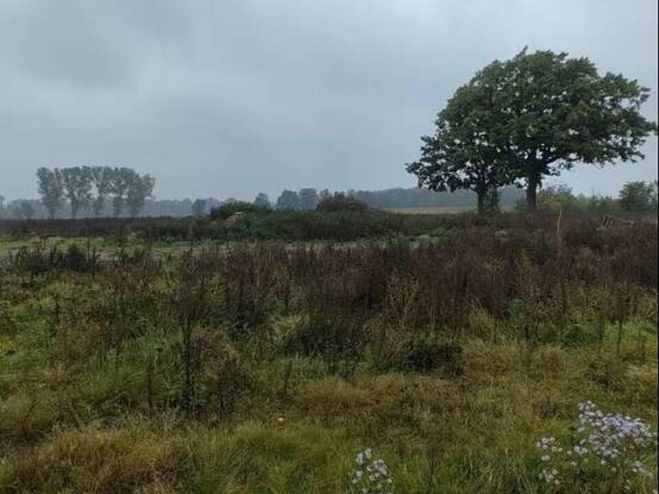 Baugrundstück Grevelau #2