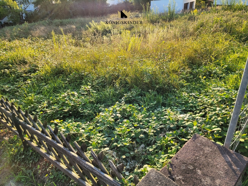 Bewuchs weg - Haus drauf...