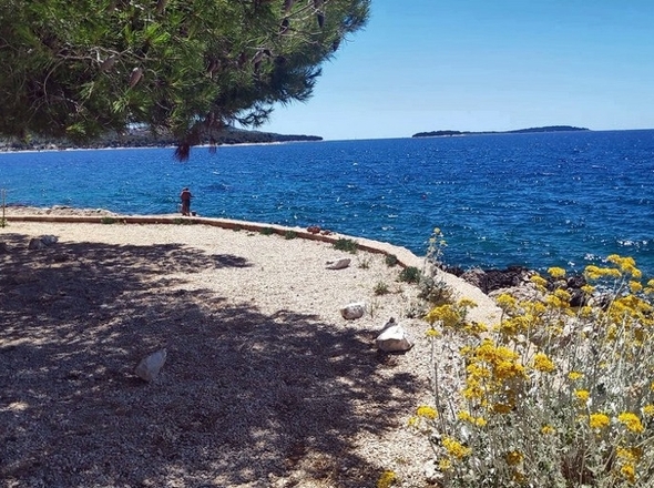 panorama-scouting-H2633-20