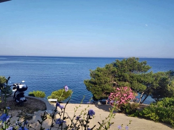 panorama-scouting-H2633-6