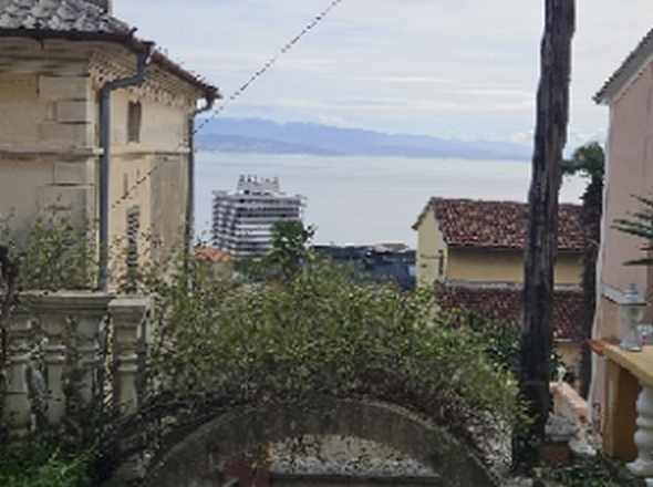 Panorama Scouting - A3241_2