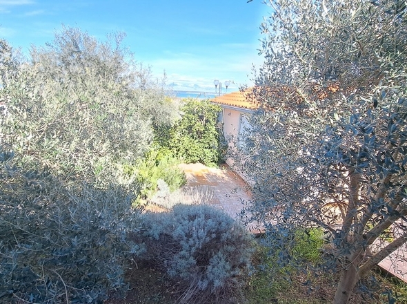 panorama-scouting-H2943-20