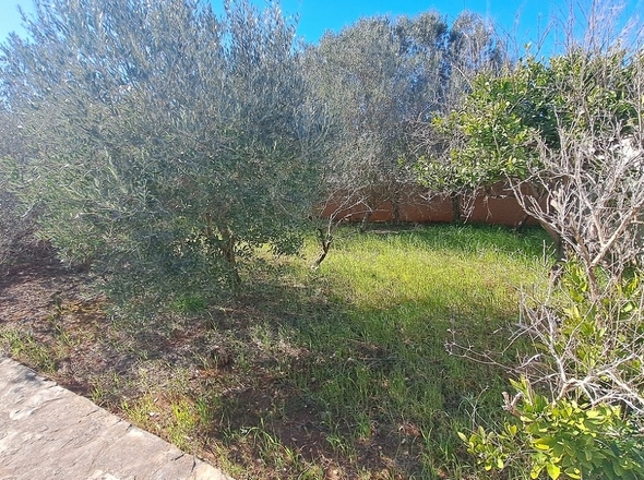 panorama-scouting-H2943-30