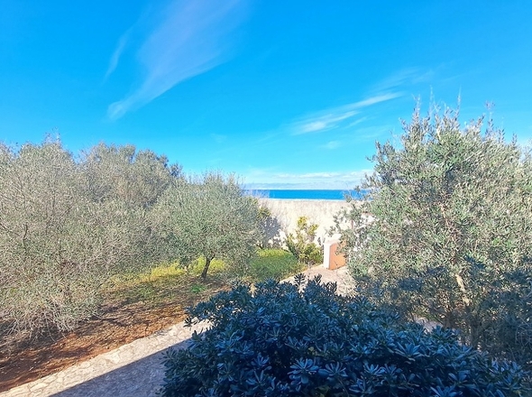 panorama-scouting-H2943-19