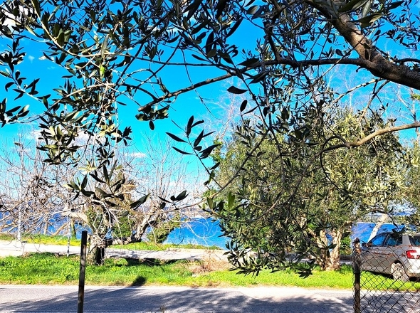 panorama-scouting-H2945-10