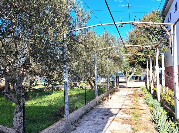 panorama-scouting-H2945-11