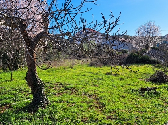 panorama-scouting-H2945-12