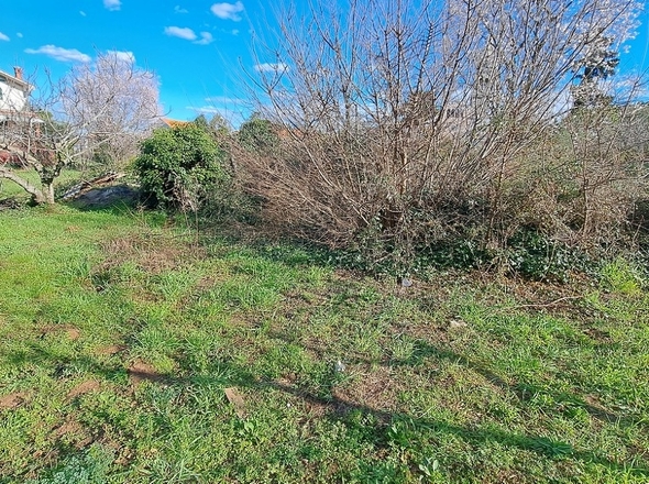 panorama-scouting-H2945-34