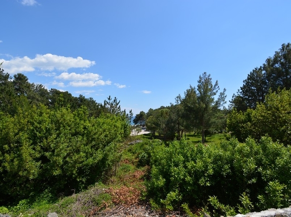 panorama-scouting-H2974-4