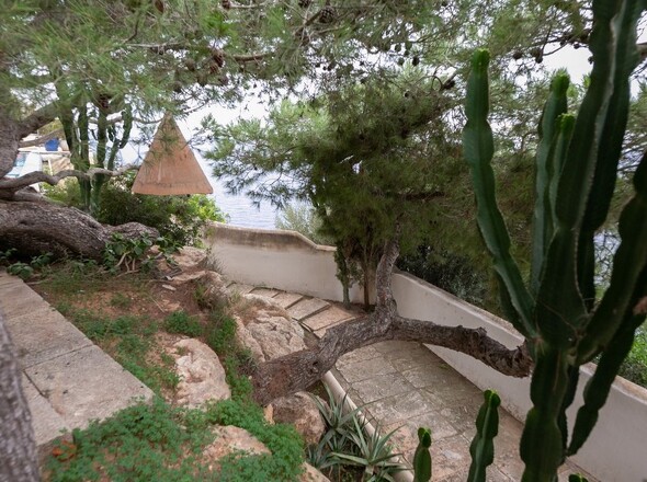 panorama-scouting-H071023-26